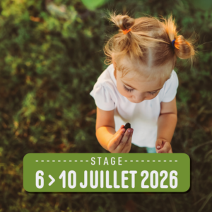 Les Aventuriers du Jardin Secret