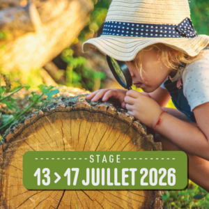 Les Chercheurs de Merveilles