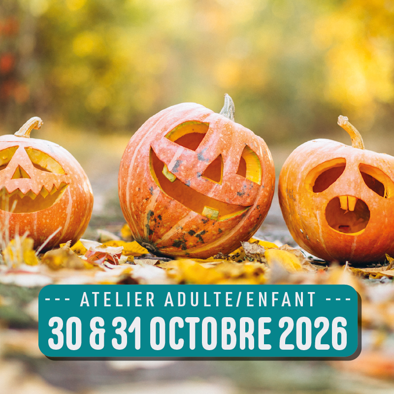 Crée ta citrouille